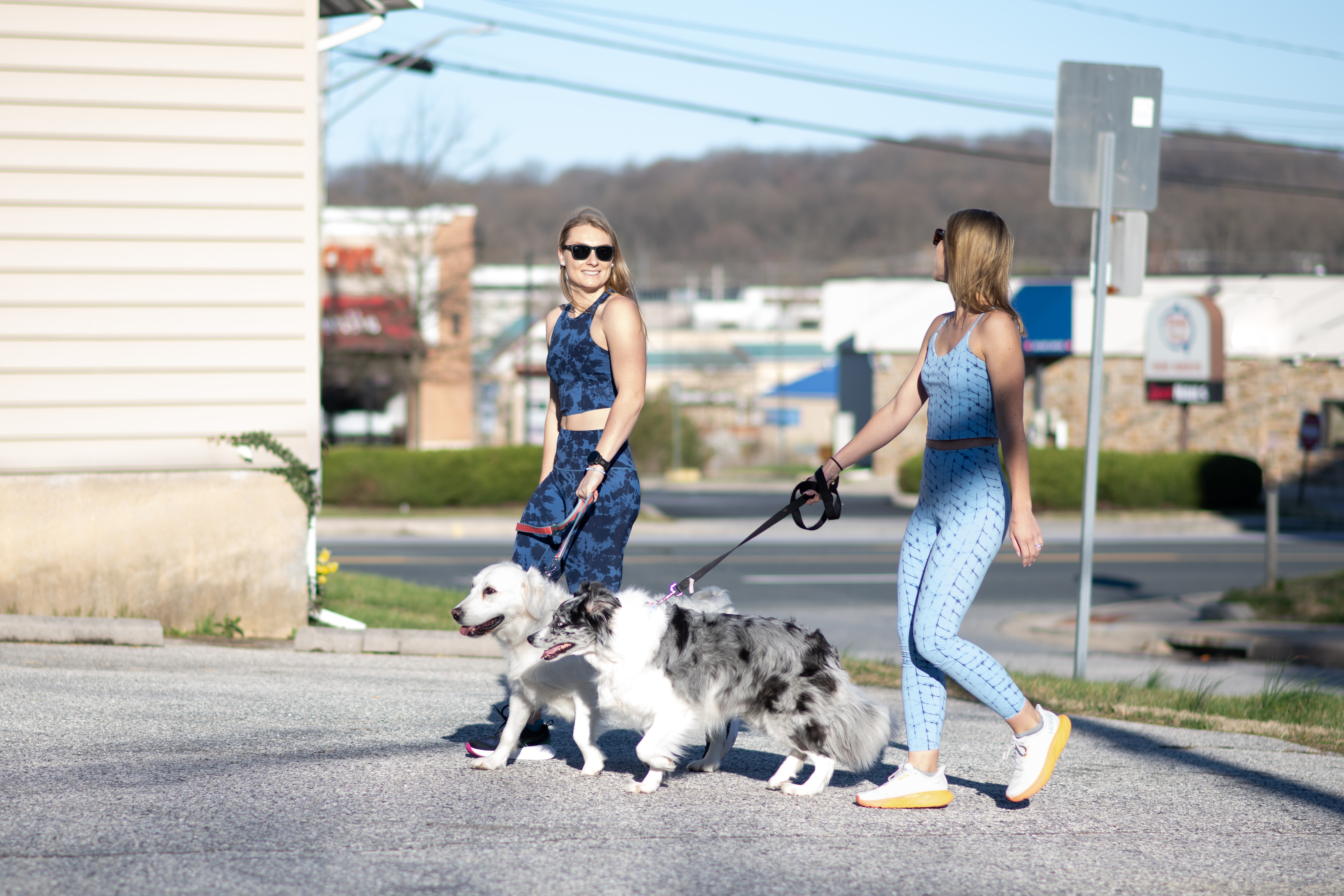 Pup Run/Walk for BARCS Store Lead