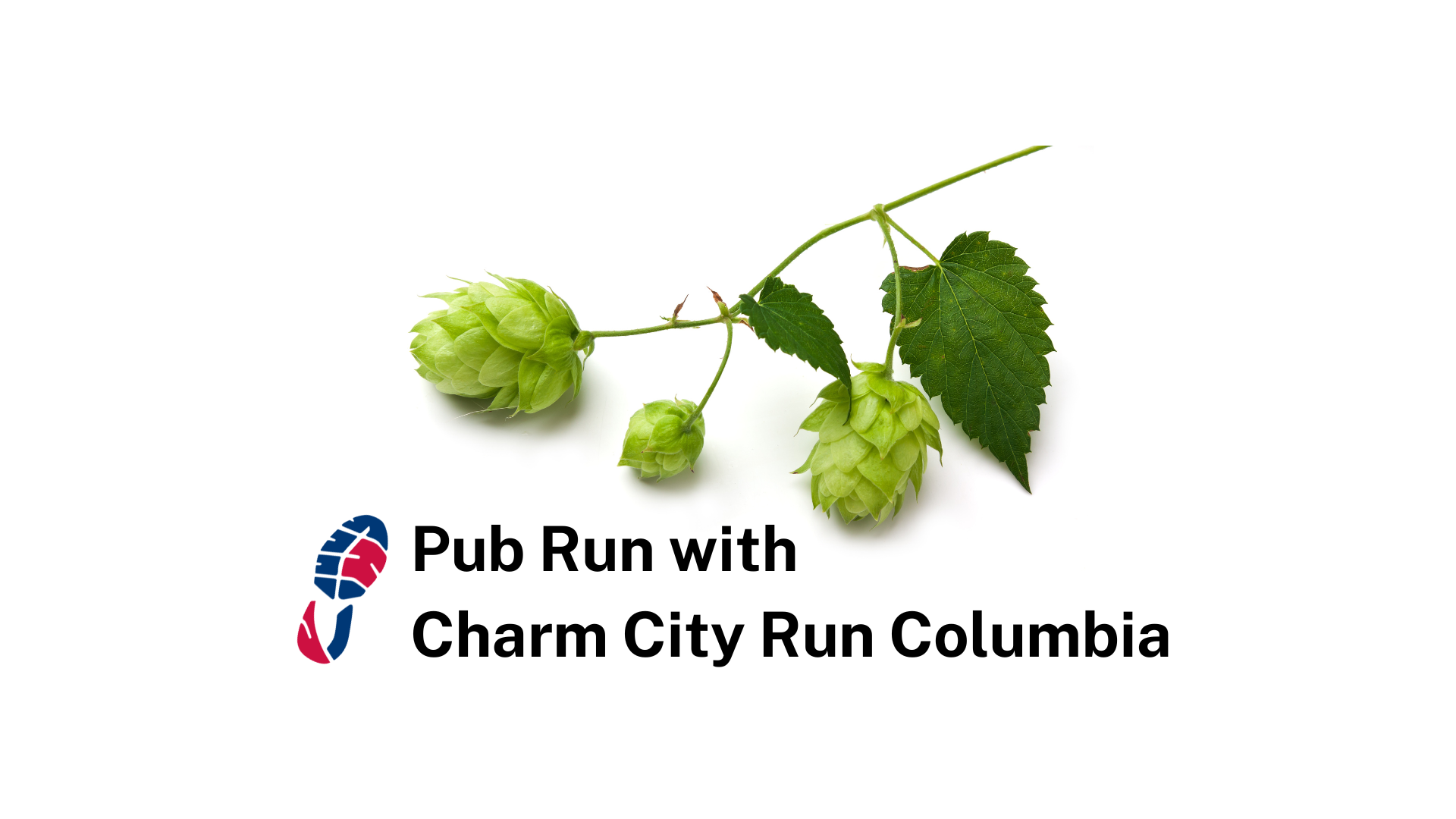 Pub Run Store Lead