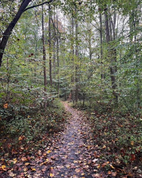 Northern Baltimore County Endurance Training Store Lead